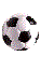 soccer ball