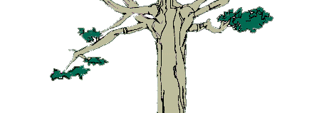 halflogo2.gif (30669 bytes)