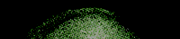 menu1.gif (3652 bytes)
