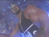 Hulk Hogan