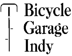 BGI_LOGO