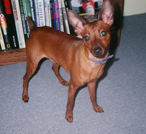 [My Min Pin]