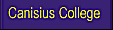 Canisius College Women's Volleyball