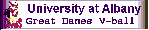 University at Albany Women's Volleyball