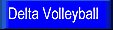 Delta Volleyball