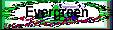 Evergreen Region