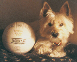 Kimba
