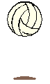 Cohesion Volleyball Club Rosters