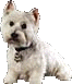  Hi my name is Kimba