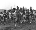 cross fine 1980
