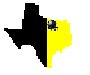 Dallas Black and Gold Brigade Info.