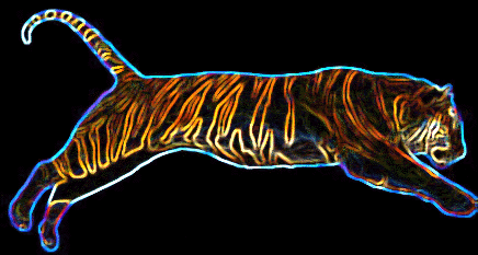 /user/tiger5.gif