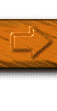 Forward Button