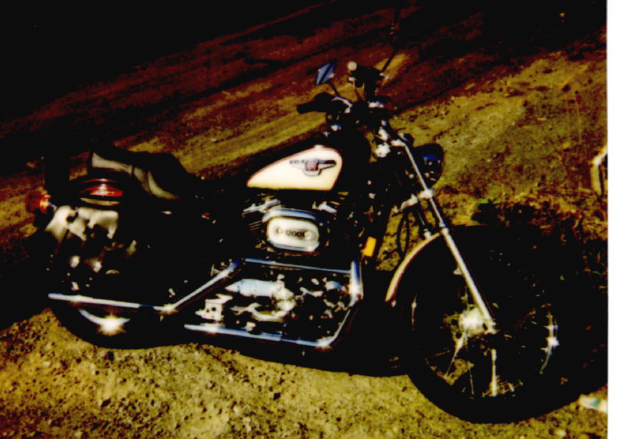 [Sportster]