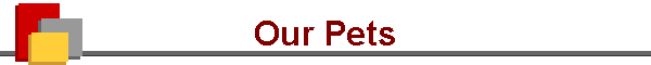 Our Pets