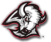 Sabres