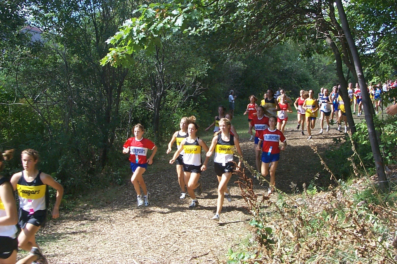 Girls race at the Wildcat invitational