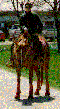 Casual pose -- margar1.gif