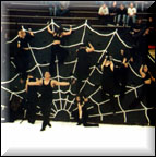 spider web
