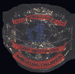 Cruiserweight