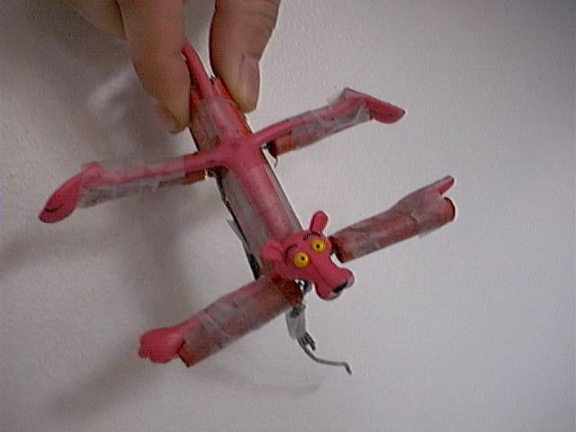 dsc00027.jpg (24590 bytes)