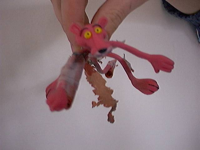 dsc00029.jpg (23670 bytes)