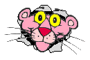 pp_hole.gif (14061 bytes)