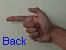 back