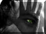 handauge2.JPG (46854 Byte)