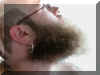 imlicht.JPG (73291 Byte)