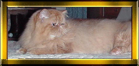 Another Photo of Honey Fitz