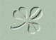 Shamrock