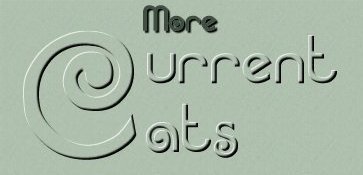 More Current Cats
