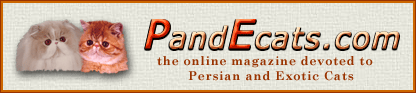 Link to PandEcats.com web site