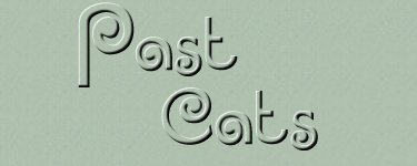 Past Cats