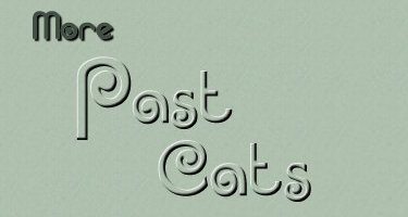 More Past Cats