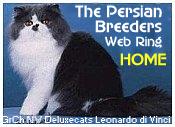 Click here to jointhe Persian breeders Ring