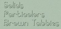 Solids, Partis, Brown Tabbies