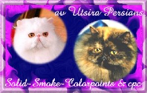 Link to Utsira Persians in Norway