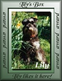 Lily