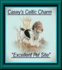 Casey