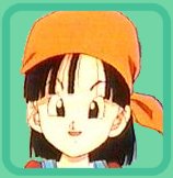 PAN