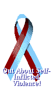 Ribbon Choice 2