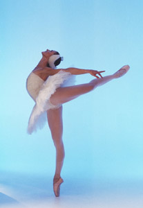 Swan Lake