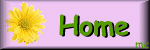 To our homepage