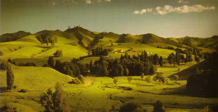 Tahora