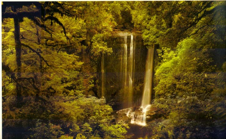 Urewera