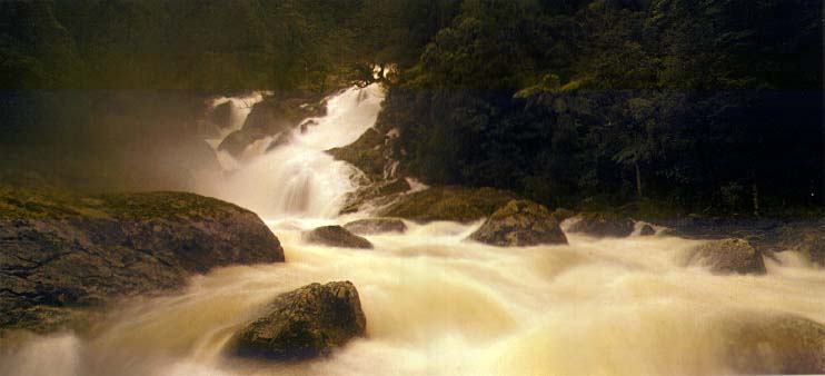 fiordland1