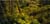 fiordland2