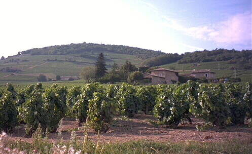 Beaujolais